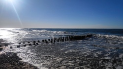 7a4ba6a1-065c-4f43-8218-a960abda1edb