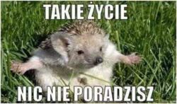 e8b4f214-9629-40d7-89ac-af55651c2edf