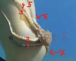 79eb0ace-5f64-448d-aa68-8930fb25f2fe