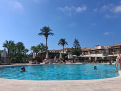 dc982ed1-b284-41a7-8d8d-f7fe3302ebba