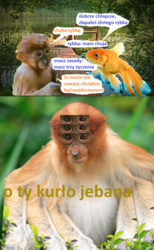 9f6d0e9f-a50c-4136-a1d1-c4ae729242ac