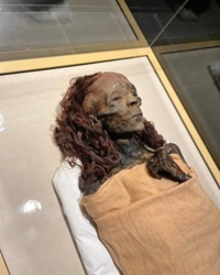 604a0559-85b8-4a1e-a170-05ed6471d4ed