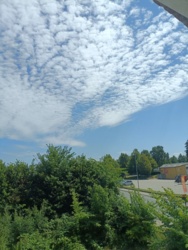 61957f31-e124-4ced-ac09-1e22ba18a3a3