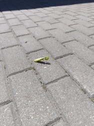 1f04824d-c1d4-4362-92a2-5c26ba2339e3