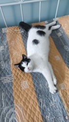 a3a7c273-9188-4c44-a613-57b501991891