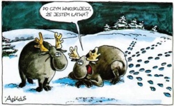 7ab7e06a-8bb4-4cfb-a764-46ada0e1fe1a