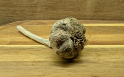 04d9ba09-98a2-4f0e-ba51-1819857a6405