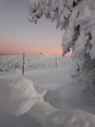 a5388805-8323-41a9-a80f-4053a34a7cba