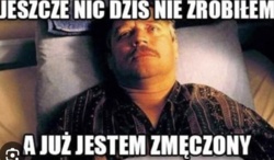 1d975be9-4afc-40e5-a710-c6593682c988