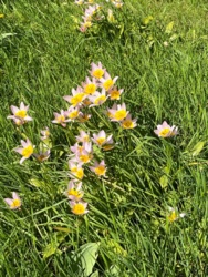 85e3419e-c6eb-4d21-a634-240669ad1785