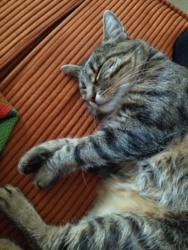 f583ba8a-a08a-4002-aacb-b9eacc87ca00