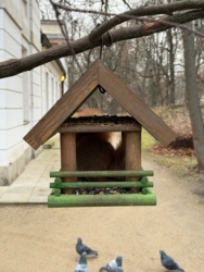 f14b9cff-6cd6-4998-9cb3-38e72d57e59f