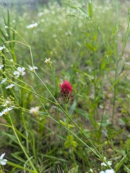 8657939e-691b-4183-a862-17390400e3e9