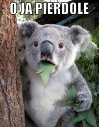 e5dbdc3d-75af-4b43-91ba-a3b319f7007d