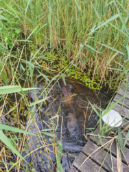 d78eec69-3839-42ea-b97a-5ba8bdf0cd0b