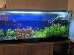 9be77ac2-d02c-4f2b-b521-04a52f2416d7