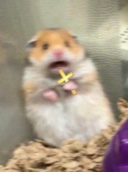 6a987da4-8cbb-4d39-976d-a8fb5bf96eba