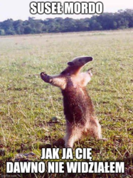 0f87dc9f-7563-4bdb-be8d-a82a550f5f5b