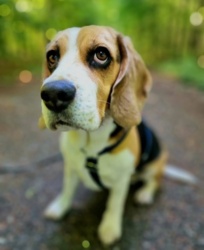 d6ecdf03-13ef-40c9-93a9-d7ae03839d7b