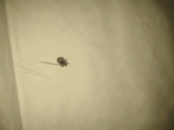 ba664da5-2ab3-4b2c-9b77-e7f9de50da2b