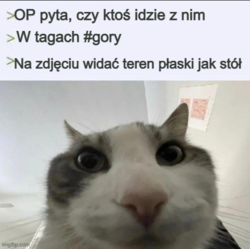 059cb4f5-771d-4977-a77e-a6df1279c540