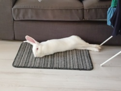 da88895e-ae6b-4873-954d-f9543eadf45e