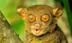 3ae0d35a-7a28-4841-901c-e5b4ebb94dd1