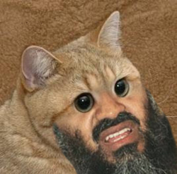 2d8b9cd0-67e7-4ad3-be96-efd6a8988f68