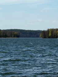 8d55b60f-f0a7-4888-81f0-b931d0e7c5d4