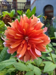 85451b54-4a32-457a-a1e5-45874c7140bb