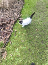 f7448a14-e125-438e-9bf1-946195a0b0f0