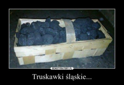 aac506b0-28c7-4c80-891f-26922a6b9b52