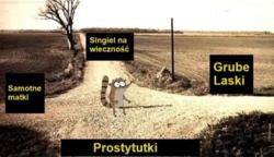 65e6cb0b-a6d0-4313-b9a1-e29f8a517386