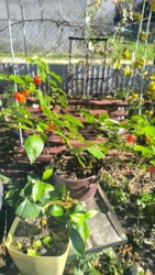 4d14f851-4c5b-4cfd-a277-789f27c7e19f