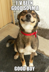 49e14aad-4e24-4e64-b58e-1f168f264ee2