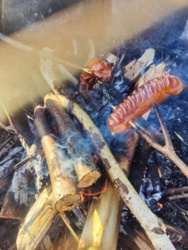 5cbdaeeb-252f-4dba-83f0-77b92ec7c4a8