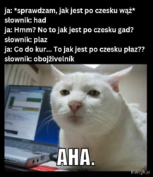 1d009b22-79a8-4503-9a83-2812de3f3237