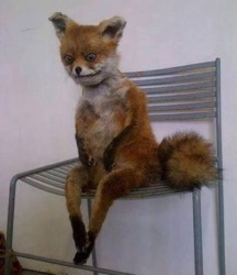 77371934-8f45-4d51-a8f6-247975be9159