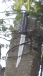 530b82b0-0325-432d-8598-6617cb0c83ea