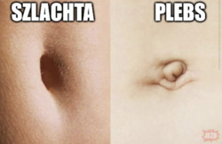 13ed0b31-a4a7-4b2b-b2b7-8bcd50b3f3c5