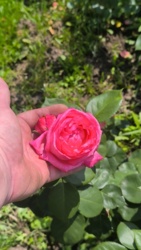 43450131-f1c2-44d5-9e83-ef3a86b22093