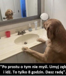 2fe558cb-5b0c-4302-8ace-1ee45d903bc0