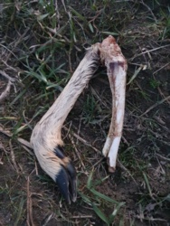 5f0913e1-27ef-43c9-9260-f5ddf2d25ee6