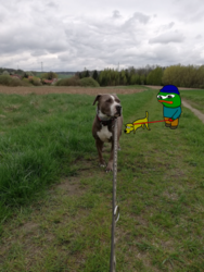 a275e1b0-b3ef-454c-84f8-9ee38eb81626