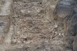 8d95aab4-f32b-4f1e-bbe5-b78fc4a6729d