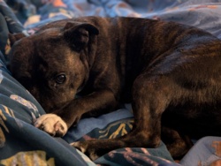 7459961f-da90-4053-8afe-6b12d750ddc4