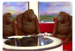 db24d2c5-77b3-400f-9b43-361bfd83b13c