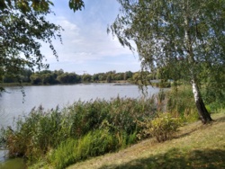 f0b64f22-9d28-4d7f-9f15-9bf396474a4a