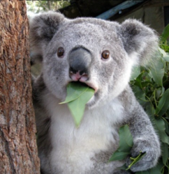 0bec1c5f-1046-4818-ac69-12e23825f556