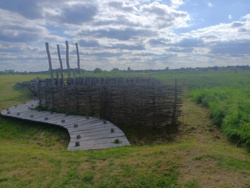 741d86e0-5c79-446a-bffc-6f35dc05cd35